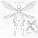 Alex Ross’ final design for the new Wasp costume, from the back. Image provided by Marvel.